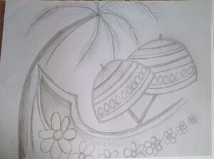 41072-bibin bose5.jpg