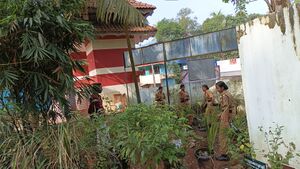 42005 med gardening.jpg