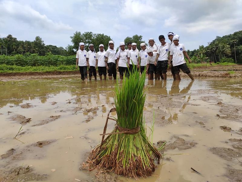 പ്രമാണം:42021 50912.jpg