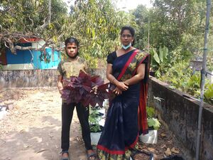 44055 agri harvest.jpeg