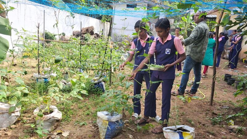 പ്രമാണം:45005 IMG-20250125-WA0010.jpg