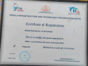 46063-ALP-LK-certificate.jpg