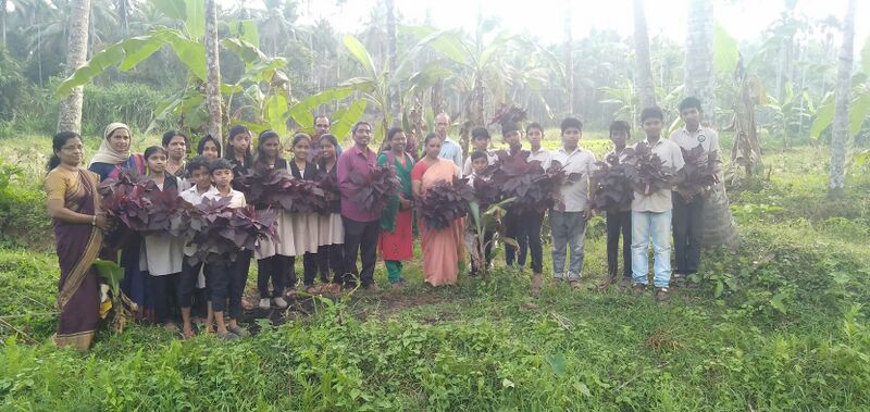 പ്രമാണം:47664 hari31.jpg