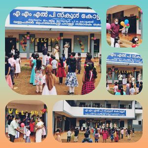 BS21 MLP 18415 1.jpg