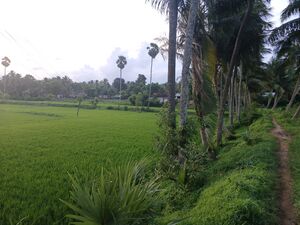 ഇന്ത്യയിലെ കേരളത്തിലെ പാലക്കാട് ജില്ലയിലെ ചിറ്റൂർ ബ്ലോക്കിലെ ഒരു ചെറിയ ഗ്രാമം/കുഗ്രാമമാണ് വണ്ണമട. എരുത്തേമ്പതി പഞ്ചായത്തിൻ്റെ കീഴിലാണ് ഇത് വരുന്നത്. ഇത് മധ്യകേരള ഡിവിഷനിൽ പെടുന്നു. പാലക്കാട് ജില്ലാ ആസ്ഥാനത്ത് നിന്ന് കിഴക്കോട്ട് 27 കിലോമീറ്റർ അകലെയാണ് ഇത് സ്ഥിതി ചെയ്യുന്നത്. ചിറ്റൂരിൽ നിന്ന് 5 കിലോമീറ്റർ. സംസ്ഥാന തലസ്ഥാനമായ തിരുവനന്തപുരത്ത് നിന്ന് 288 കി