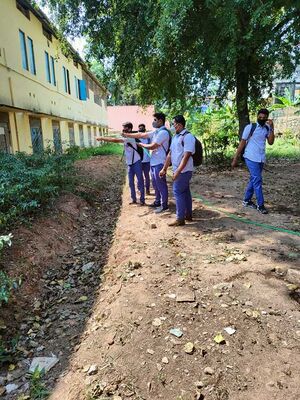 Vegetable garden..jpg