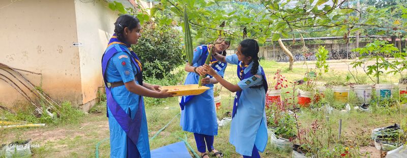 പ്രമാണം:Vegetable garden 35052 23 1.jpg