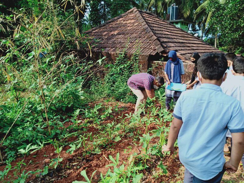 പ്രമാണം:12335-vegetable 5.jpeg