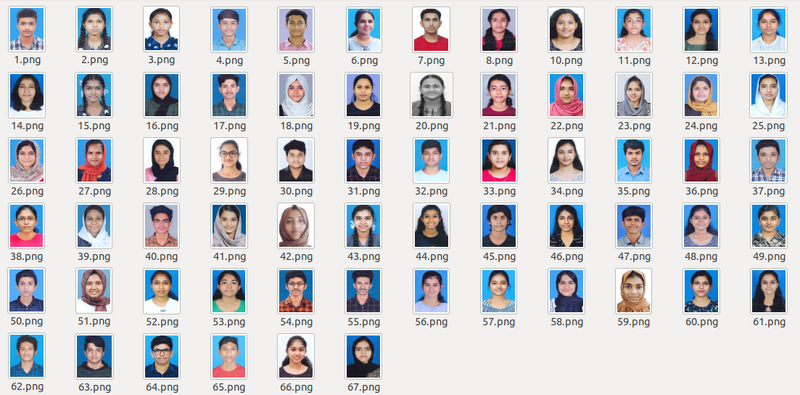 പ്രമാണം:15051 A plus.png