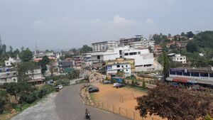 15462-Ente Gramam3.jpg