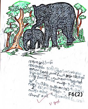 21415-PKD-KUNJ-AANUSHYA S.jpeg