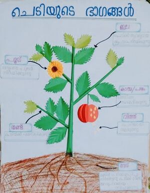 24272-TSR-KUNJ-MUHAMMED HANAN.jpg