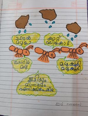 26315-EKM-KUNJ-EVA TERESSA.jpeg