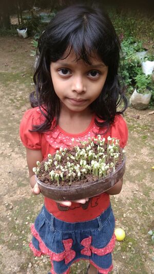 29312 environmentclub16.jpeg