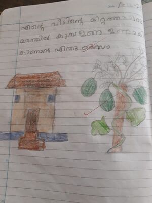 30240-IDK-KUNJ-Jismariya Jince.jpeg