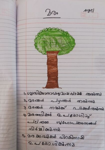 പ്രമാണം:41408-KLM-KUNJ-ANGEL SUMESH.jpg