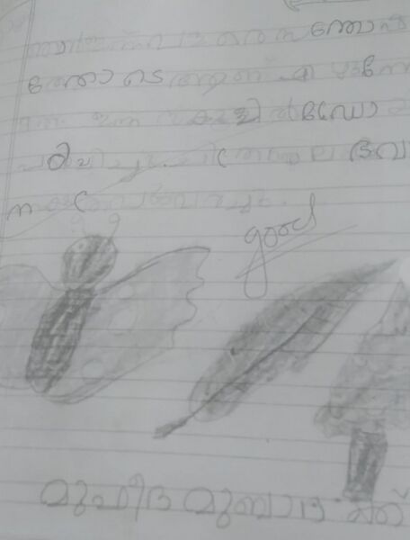 പ്രമാണം:41504-KLM-KNJU-MUFEEDHA MUBHARAK.jpg