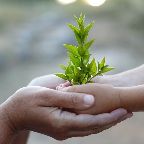 പ്രമാണം:42014 7.jpg