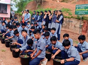 42070 pachakkarykrishi.jpg