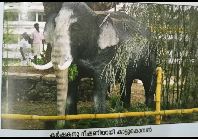 പ്രമാണം:47326 sslp11125.jpg