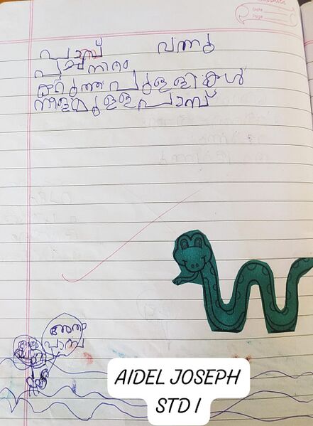 പ്രമാണം:47652-KKD-KUNJ-AIDEL D.jpeg