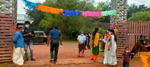 BS21 MLP 48135 5.jpg