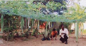 Govt dvhss ctla krishi1.jpg