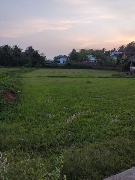 പ്രമാണം:PATHAIKKARA VILLAGE4.jpg