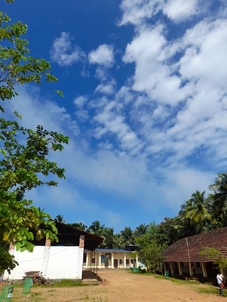 പ്രമാണം:School nice.jpg