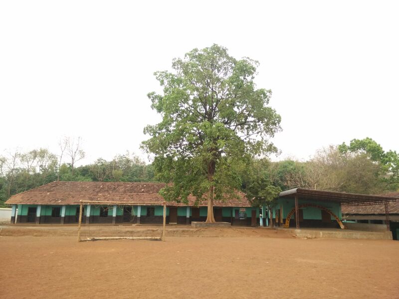 പ്രമാണം:WhatsApp Image 2022-03-10 at 16.58.19.jpg