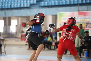 Wushu 7-Kerala school kalolsavam 2023.jpg