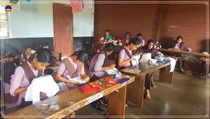11051 SCHOOLLEVELSHASTRAMELA2016.jpg