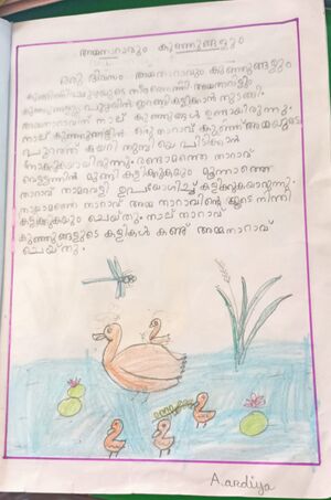 13369 KUP ANDIYA .jpeg