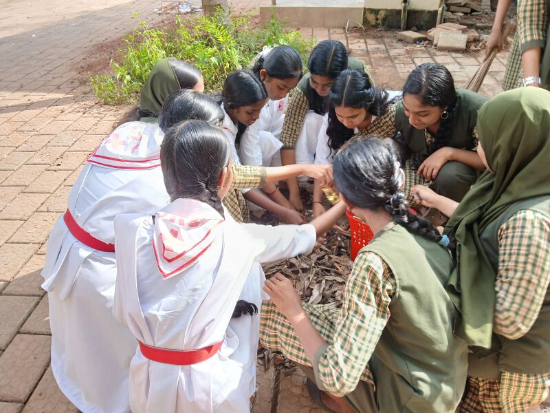 പ്രമാണം:13753.clean keala campaign.jpg