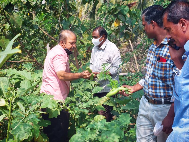 പ്രമാണം:14028 jp2.jpg