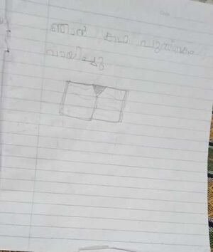 15333-WYD-KUNJ-LUISA NAYAK.resized.jpg