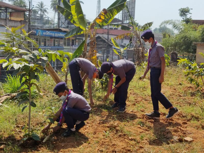 പ്രമാണം:15462 9 scout .resized.jpg