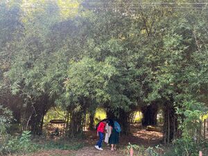 15465 SCHOOL BAMBOO PARK.jpeg