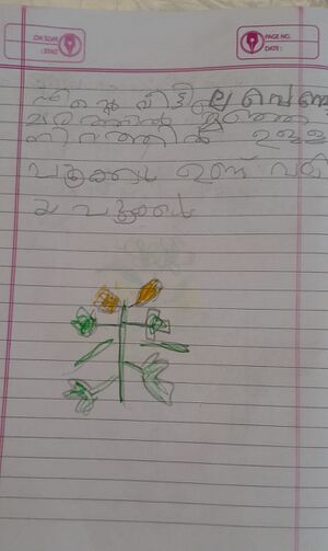 18621-MLP-KUNJU-MUHAMMED HASHIR.jpeg