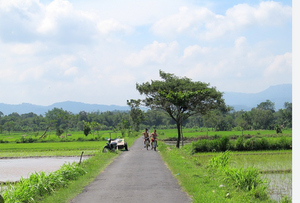 19779 village roads.png