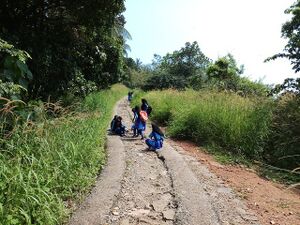 20171029 115816.resized.resized.jpg