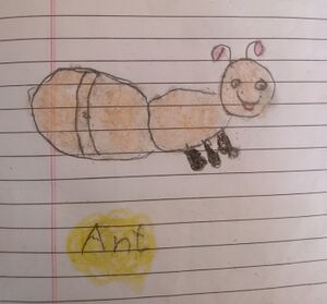 24026-TSR-KUNJ-AMAN AZMIL O.jpeg