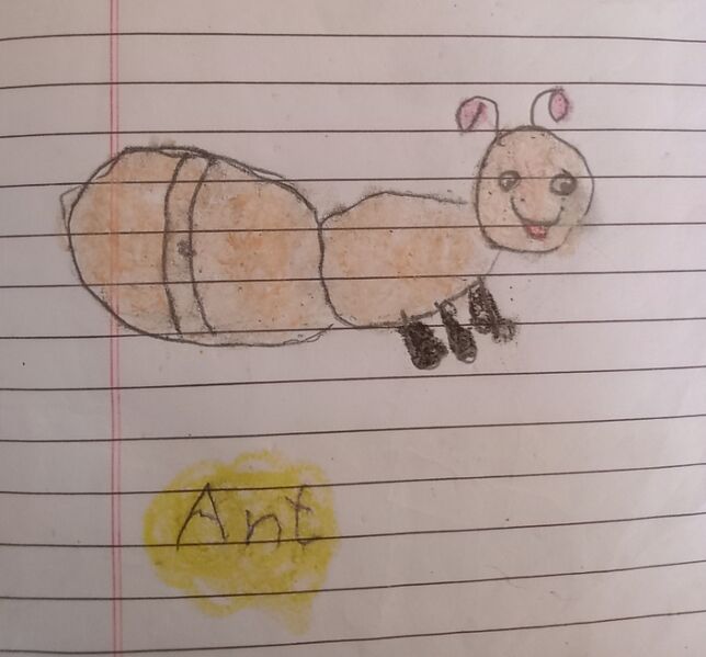 പ്രമാണം:24026-TSR-KUNJ-AMAN AZMIL O.jpeg