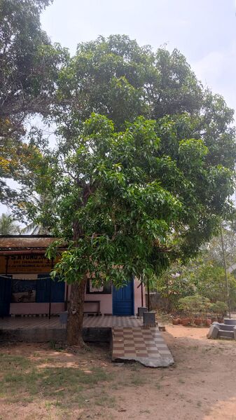 പ്രമാണം:36321-hitech image.jpg