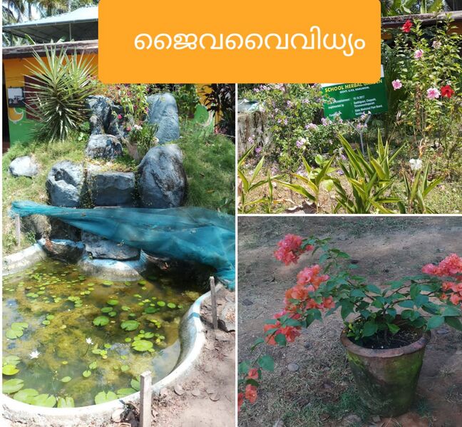 പ്രമാണം:43244 j.jpg