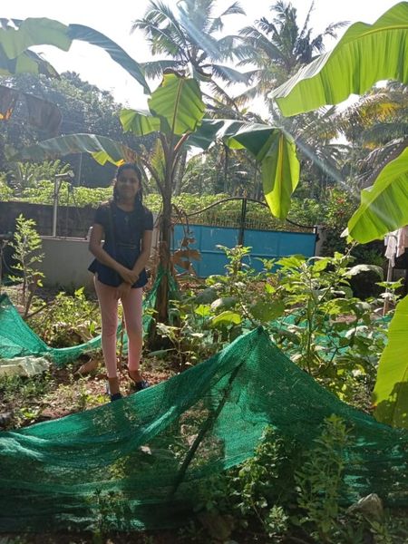 പ്രമാണം:44029 689.jpeg