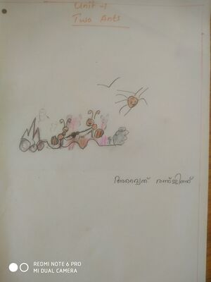 45357-KTM-KUNJ-ADVAITH RENJITH.jpeg.jpg