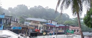 GRAMAM A VIEW .jpg