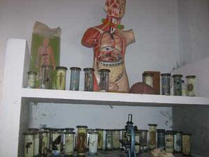 Govt dvhss ctla lab1.jpg