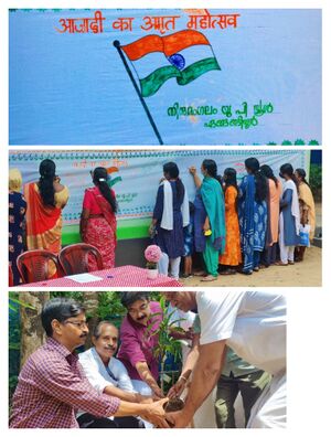 IMG 20220816 154006.jpg